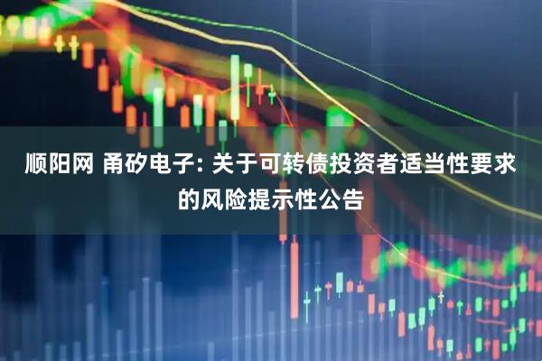 顺阳网 甬矽电子: 关于可转债投资者适当性要求的风险提示性公告