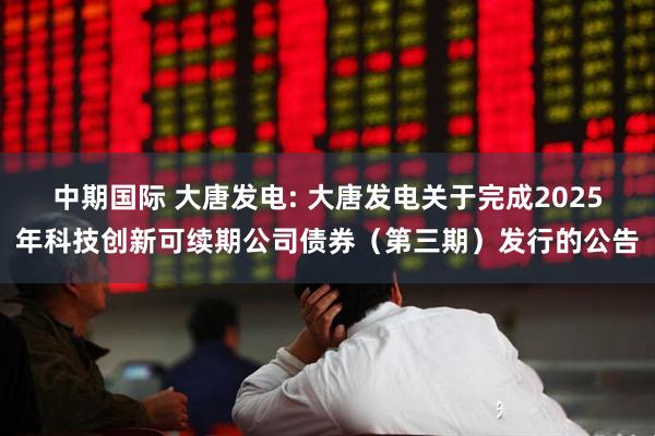 中期国际 大唐发电: 大唐发电关于完成2025年科技创新可续期公司债券（第三期）发行的公告