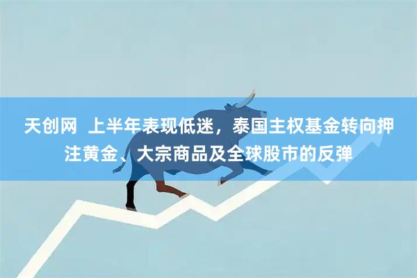 天创网  上半年表现低迷，泰国主权基金转向押注黄金、大宗商品及全球股市的反弹