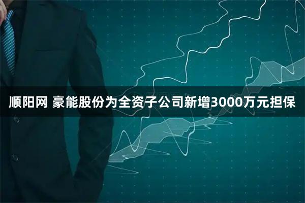 顺阳网 豪能股份为全资子公司新增3000万元担保